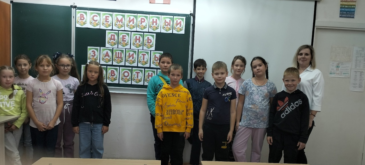 4 октября - День защиты животных..